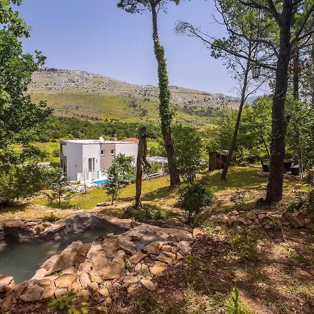 Holiday Gogina Tatil Evi